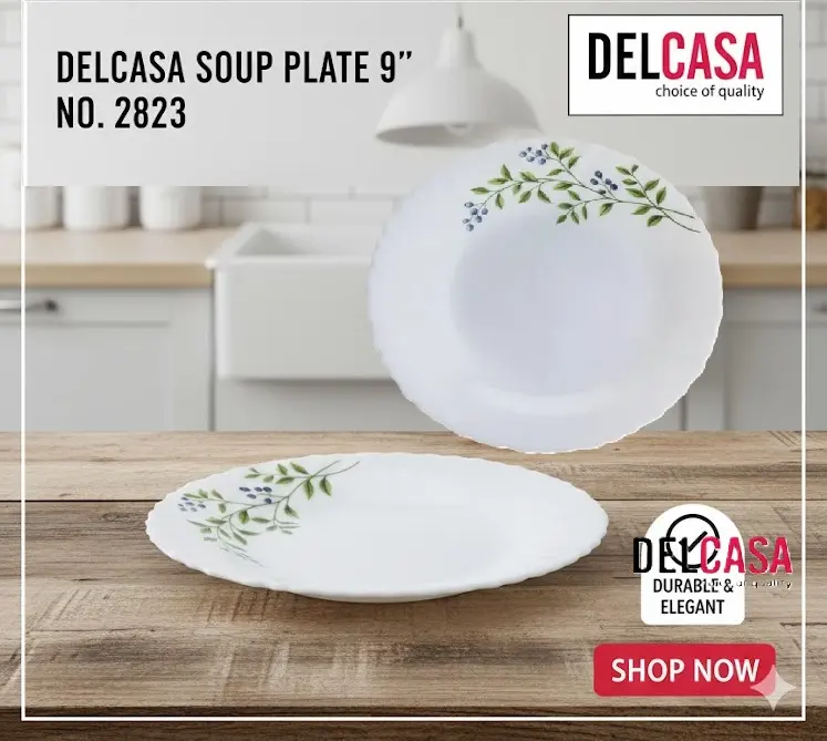 [FVM33023] DELCASA SOUP PLATE 9" NO.2823