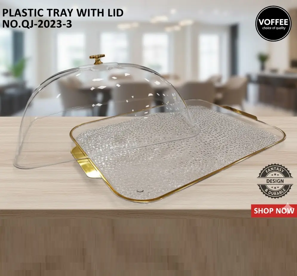 [FVM38068] PLASTIC TRAY WITH LID NO.QJ-2023-3