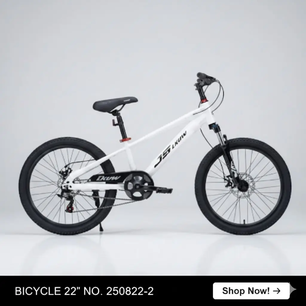 [FVM38269] BICYCLE 22" NO. 250822-2