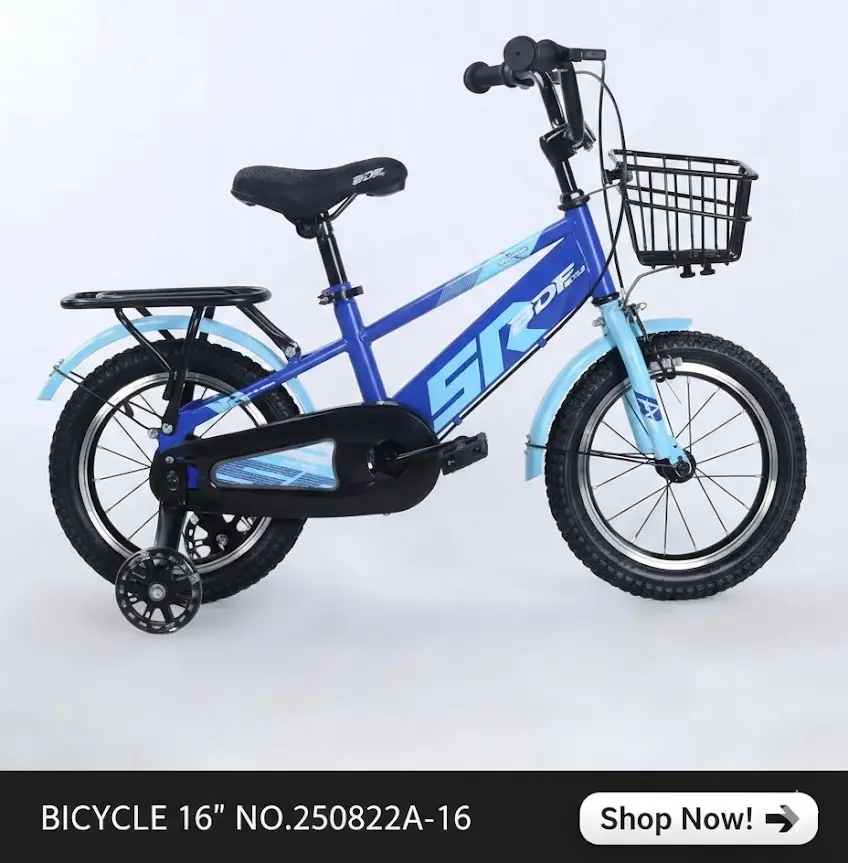 [FVM38272] BICYCLE 16" NO.250822A-16