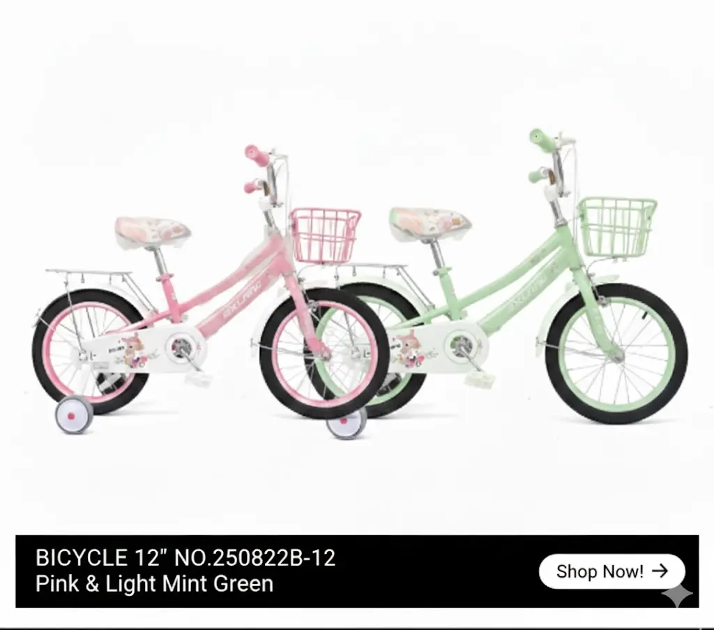 [FVM38273] BICYCLE 12" NO.250822B-12