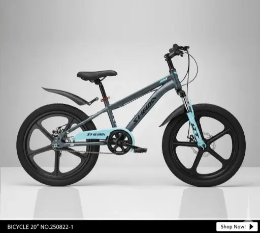 [FVM38268] [FVM38268] BICYCLE 20" NO.250822-1