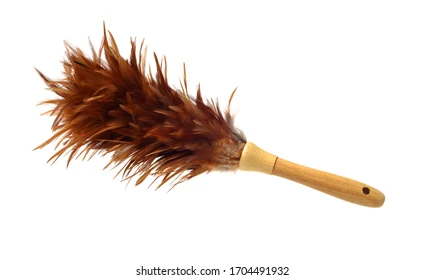 [FVM20111] [FVM20111] FEATHER DUSTER